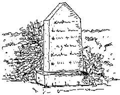 stele